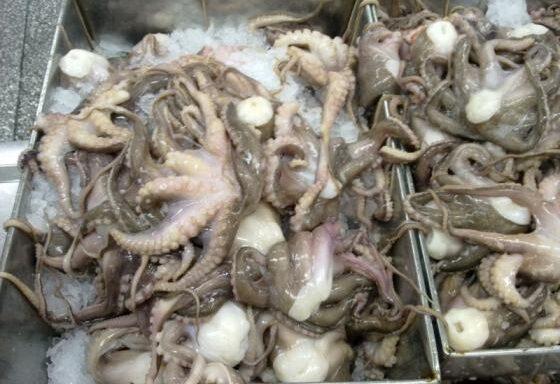 FRESH FROZEN SEAFOOD, FISH, SHELLFISH, CEPHALOPODS