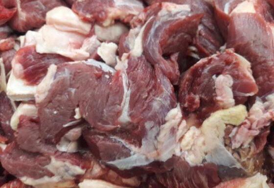 FRESH HALAL BUFFALO BONELESS MEAT/ FROZEN BEEF OMASUM/ FROZEN BEEF